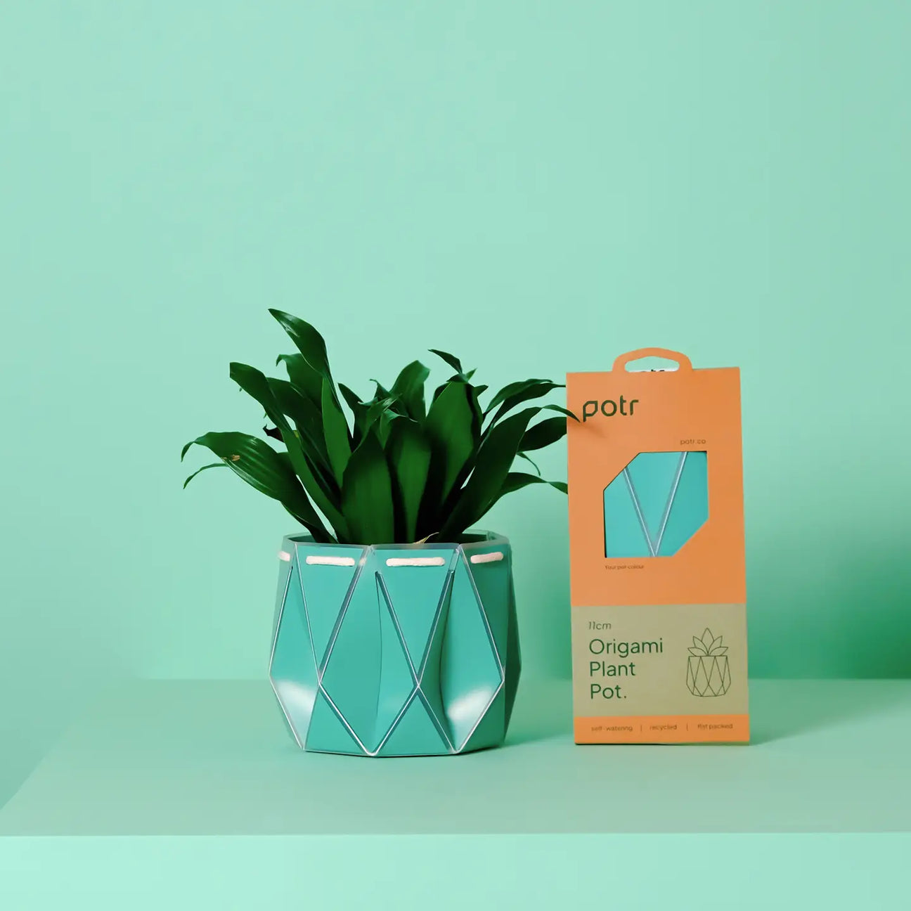 Gifts for Indoor Plant Lovers