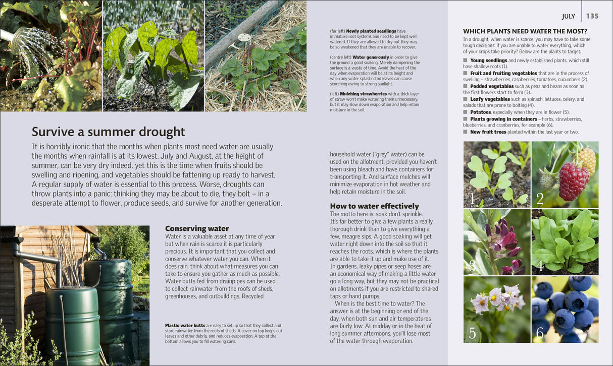 Book - Allotment Month by Month