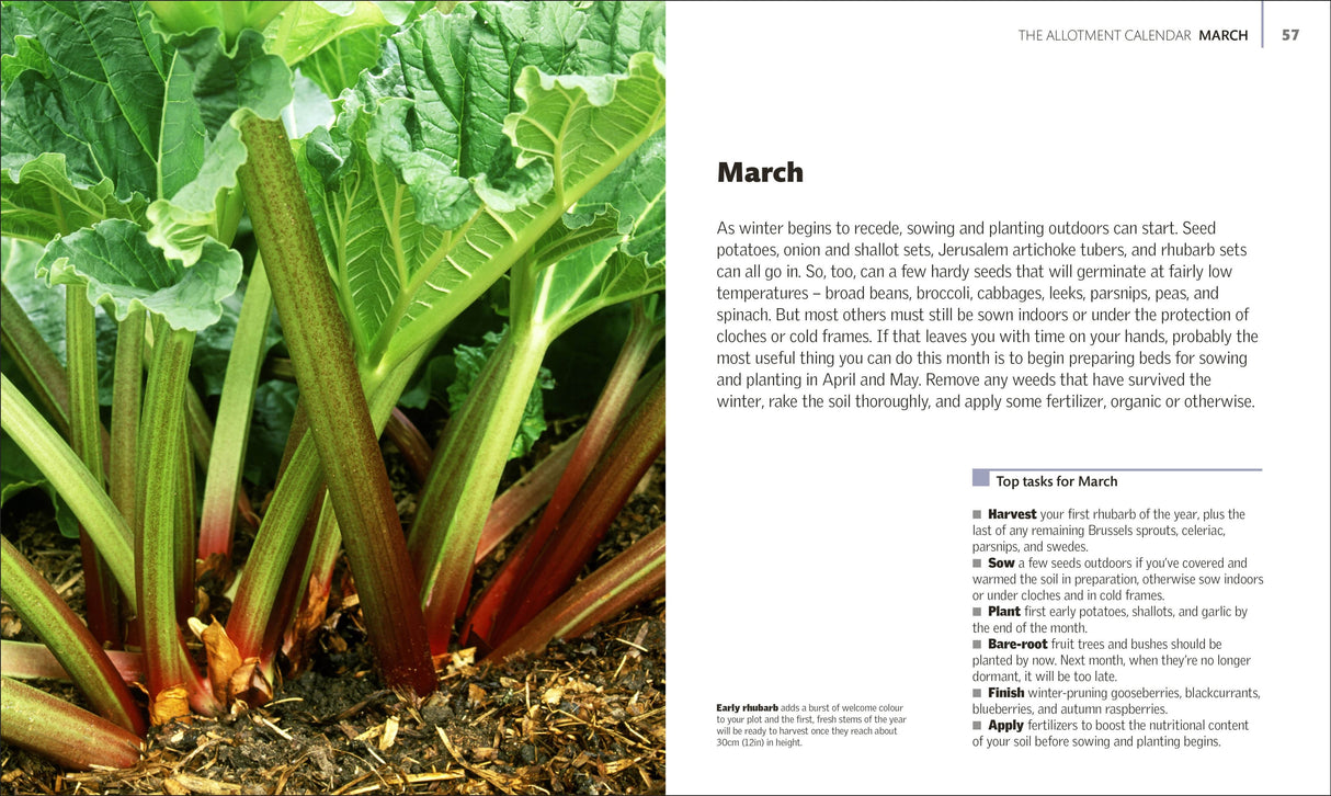 Book - Allotment Month by Month