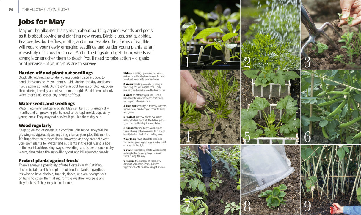 Book - Allotment Month by Month