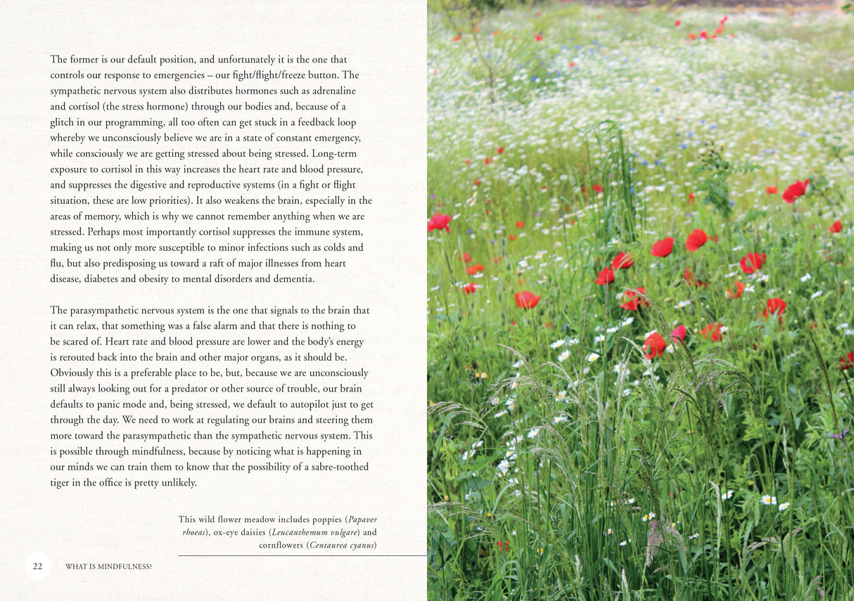 Book - Gardeining for Mindfulness