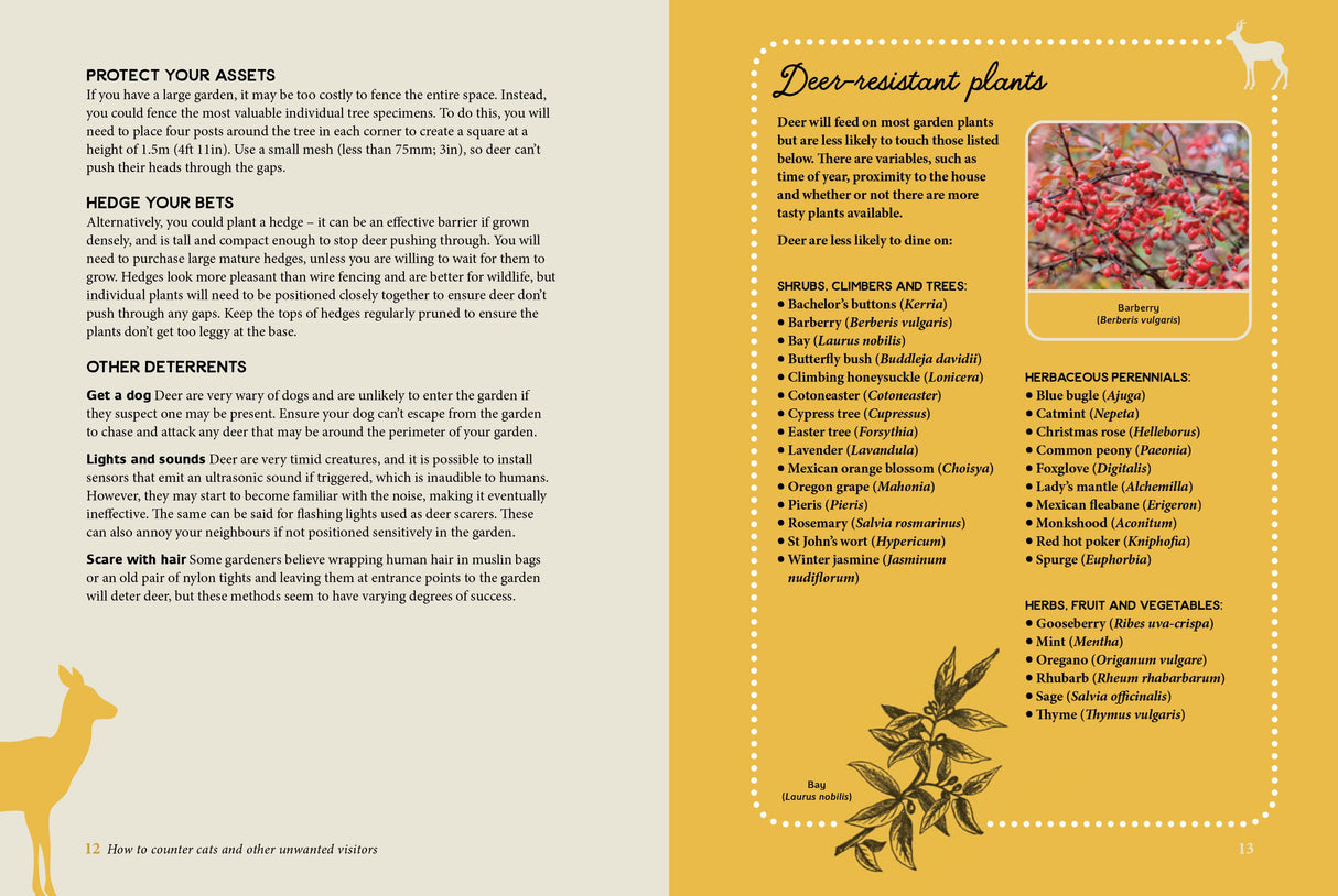 Book -  How to Outsmart a Squirrel & Other Garden Pests