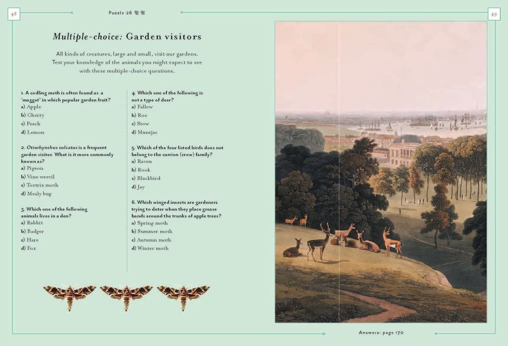 Gardener's Downtime Gift Box