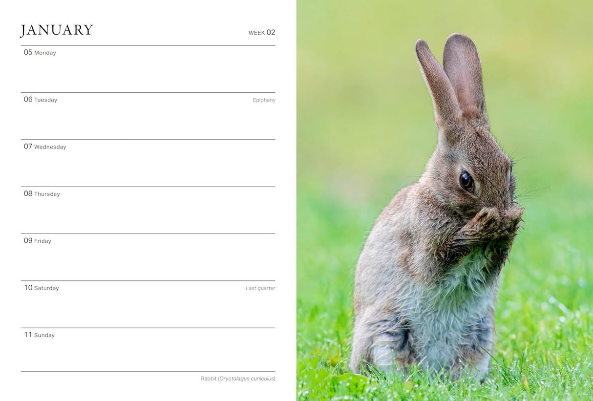 Book - RHS Wild in the Garden Diary 2026