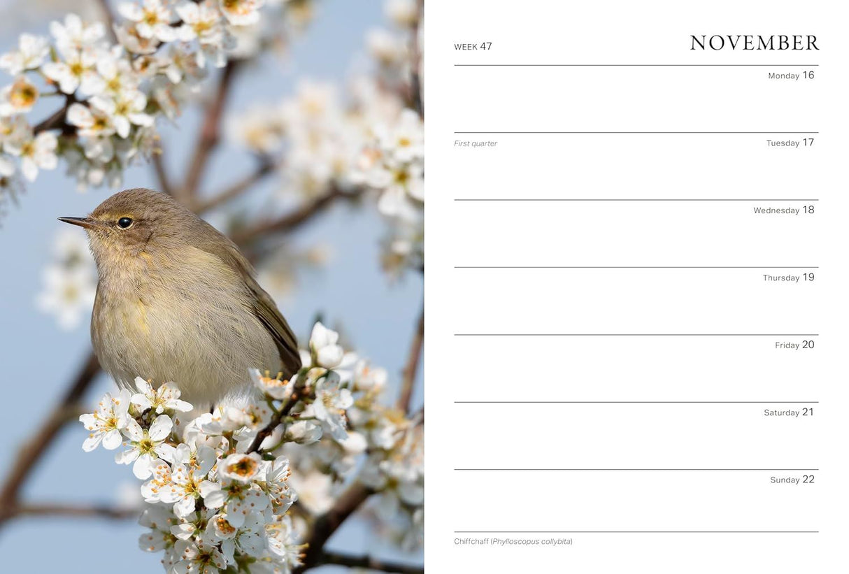 Book - RHS Wild in the Garden Diary 2026