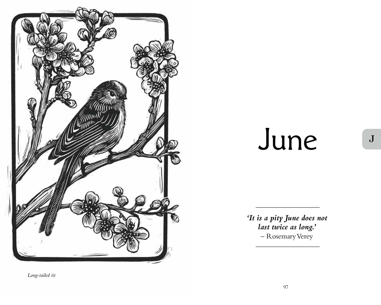 Book - Gardener's Almanac 2026 National Trust