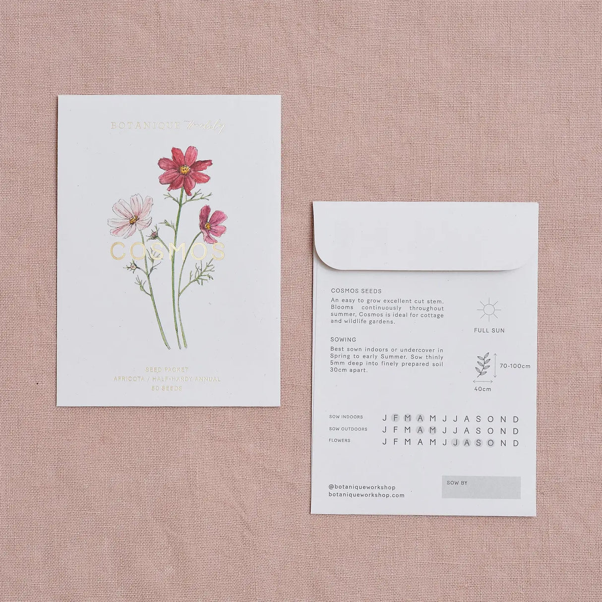 Cosmos Apricota Seeds