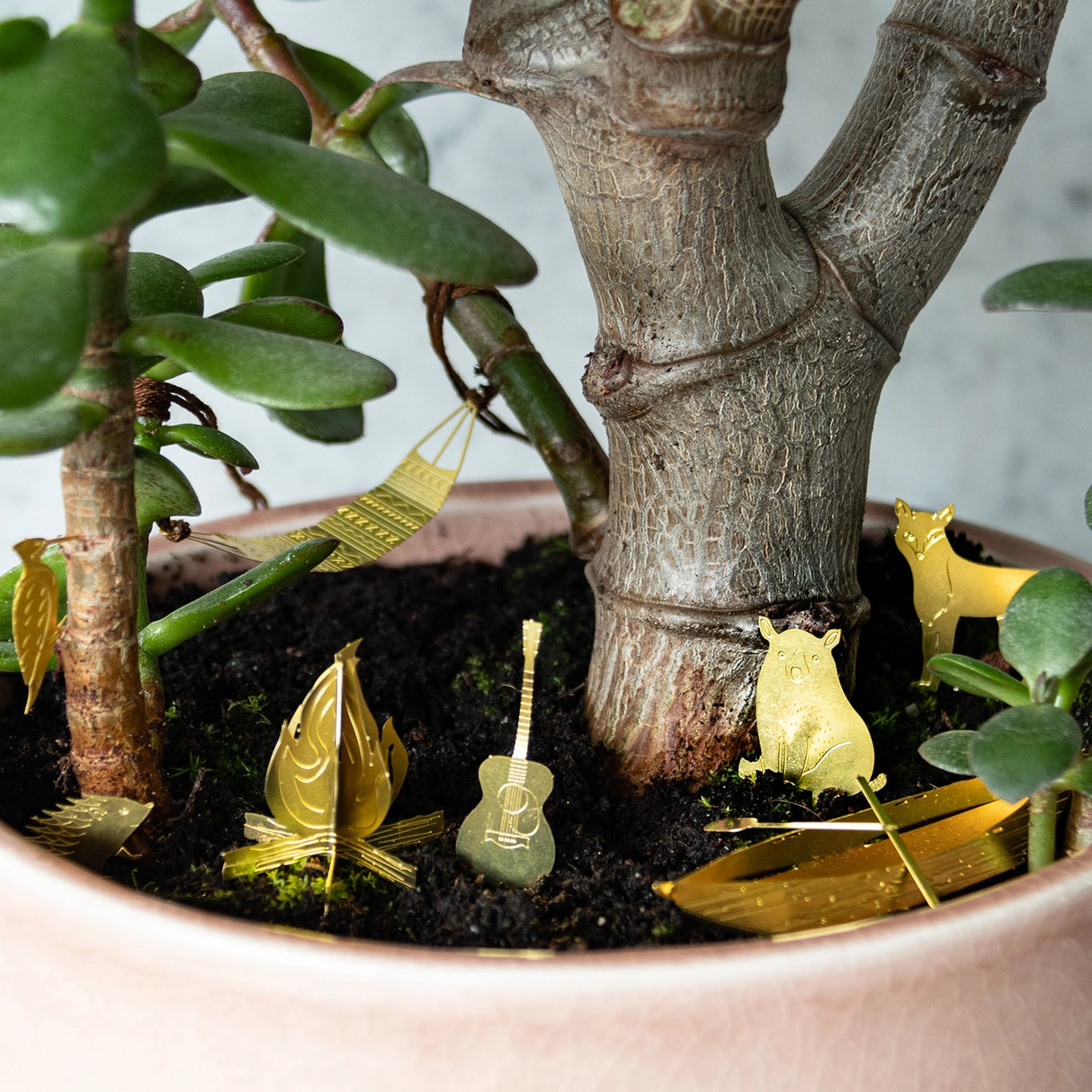 Tiny Camping for Plants