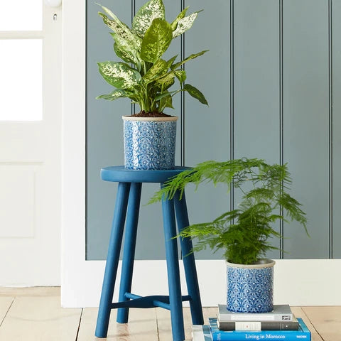 Glazed Blue Porto 14cm Indoor Pot