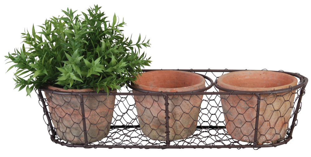 Aged Terracotta Pots in Wire Basket
