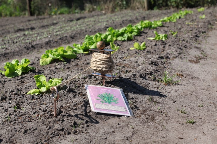Copper Plated Row Marker