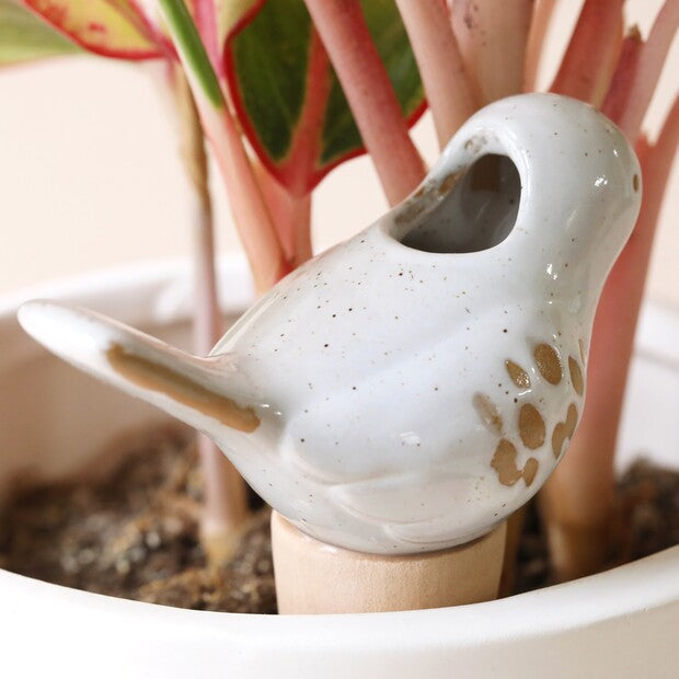 Bird Plant Watering Ceramic Spike