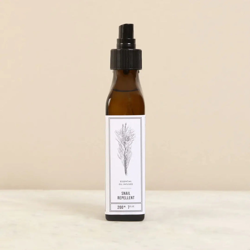 The Potting Shed Garden Gift Box