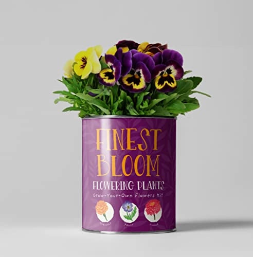 Grow Your Own Flowers Kit