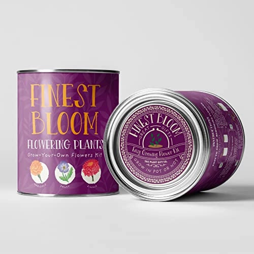 Grow Your Own Flowers Kit