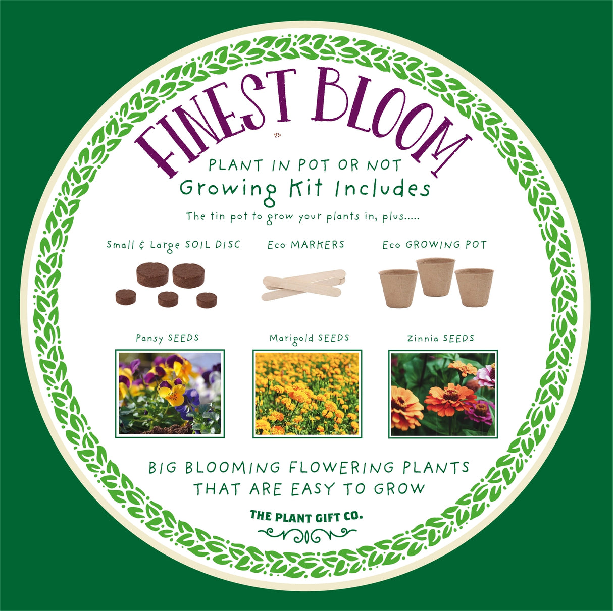 Grow Your Own Flowers Kit