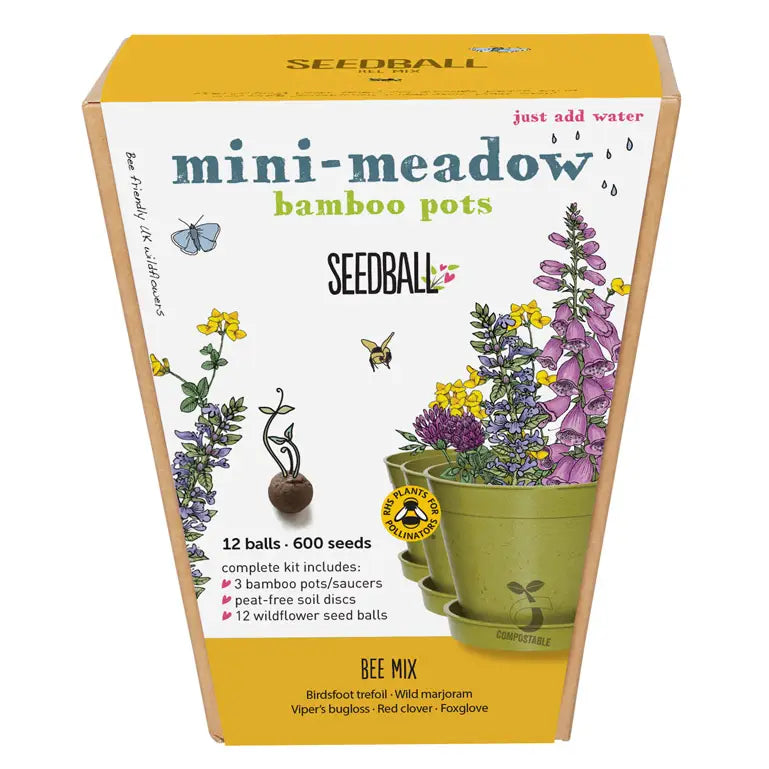 Meadow Pot Seedball