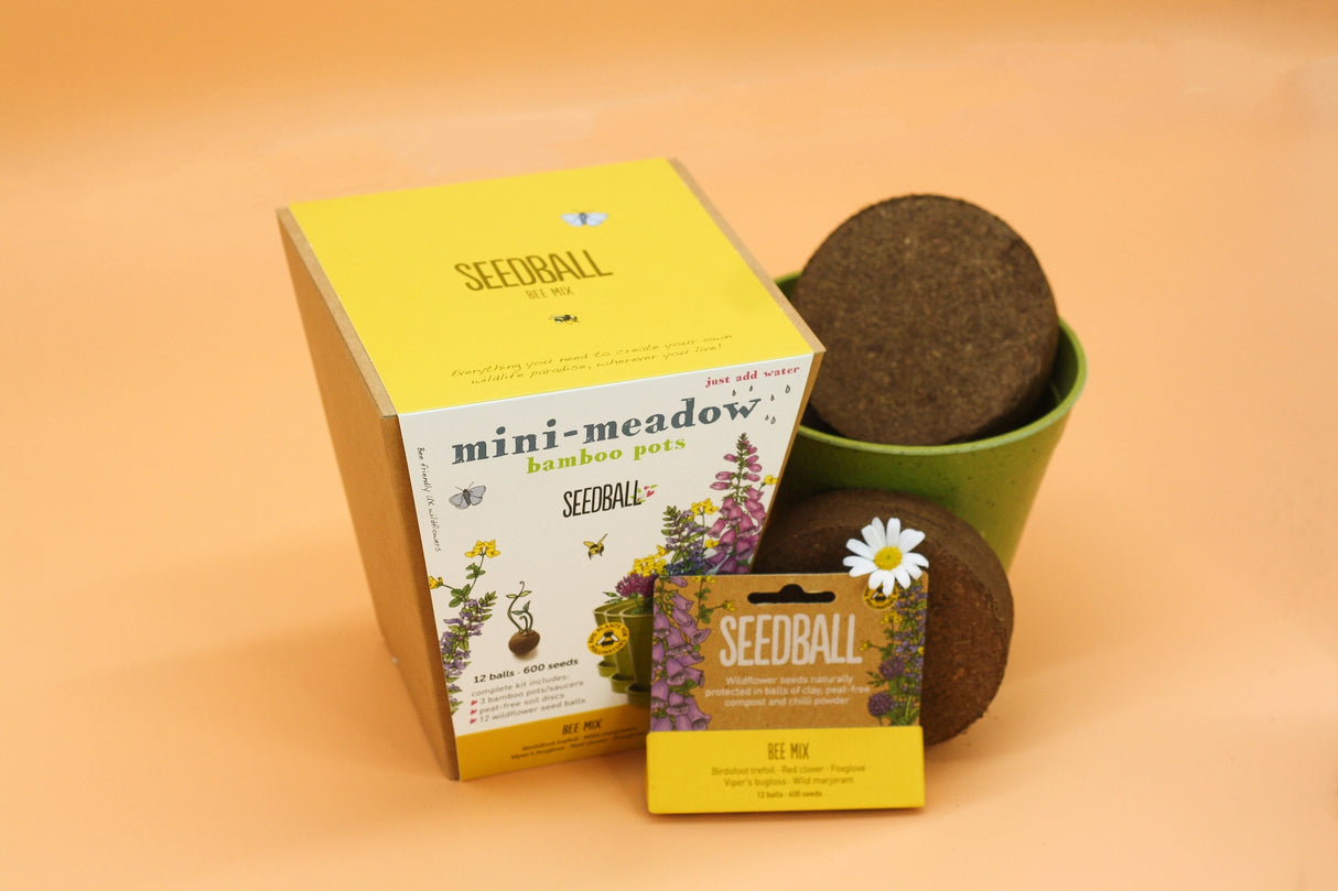 Meadow Pot Seedball