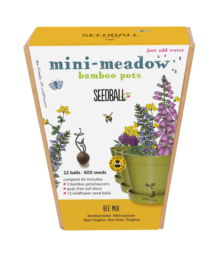 Meadow Pot Seedball