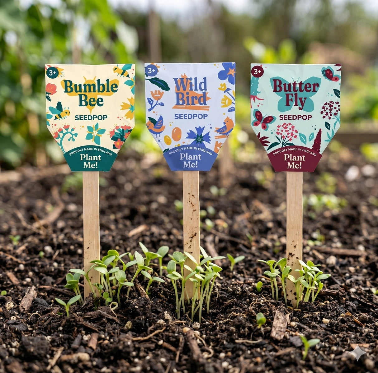 Wildflower Seedpop