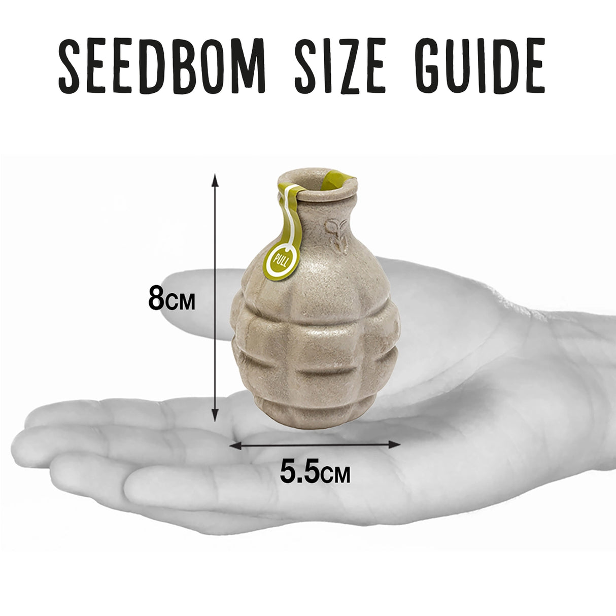Bee Seedbom