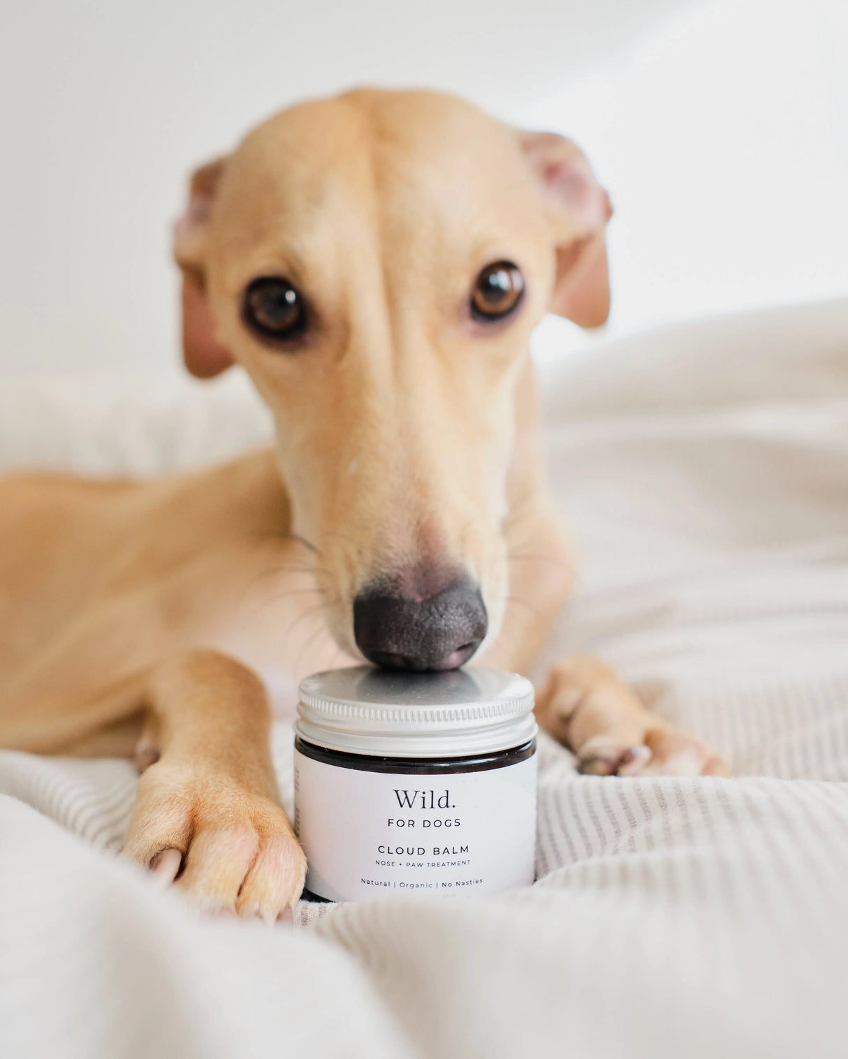Paw & Nose Balm for Dogs