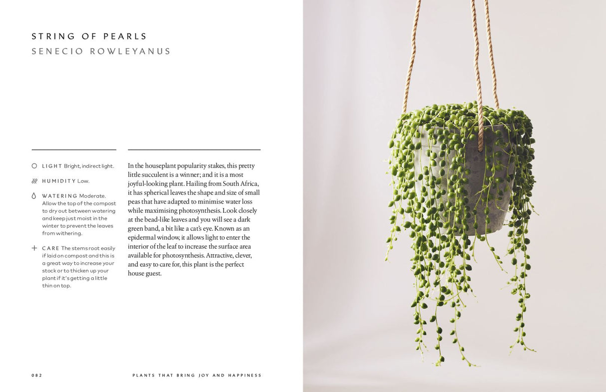 Book - The Healing Power of Plants