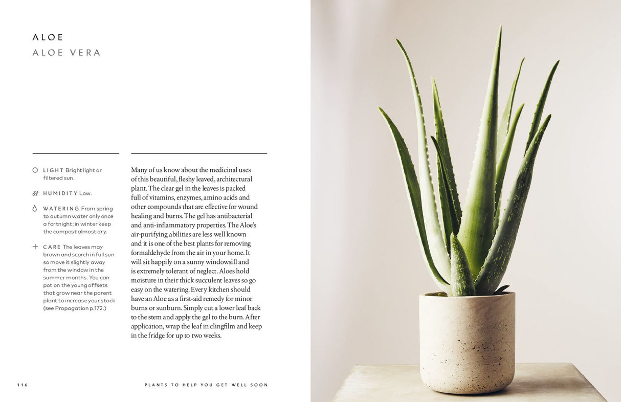 Book - The Healing Power of Plants