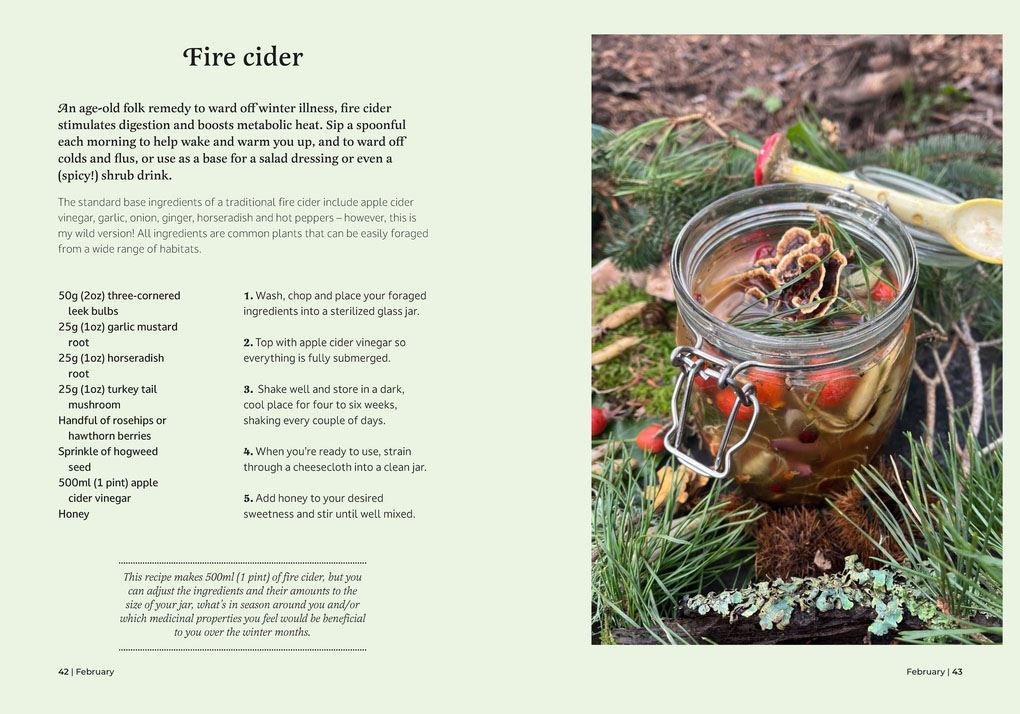 Book - Forager's Almanac