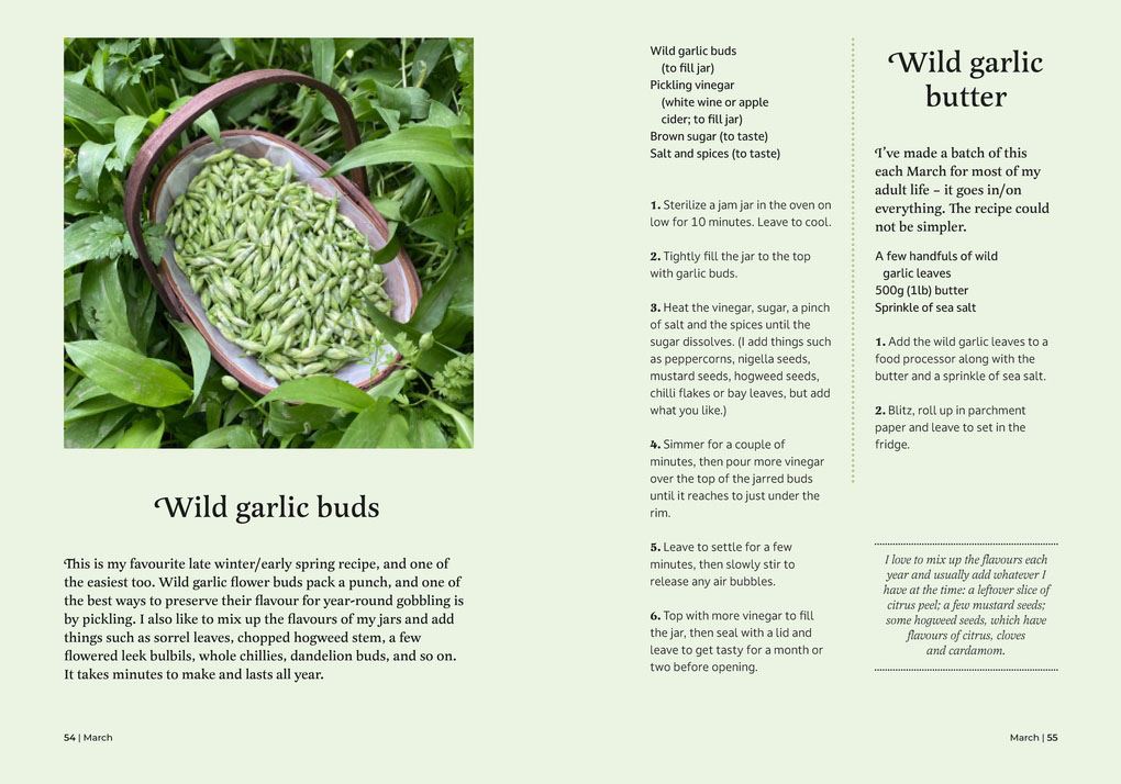 Book - Forager's Almanac