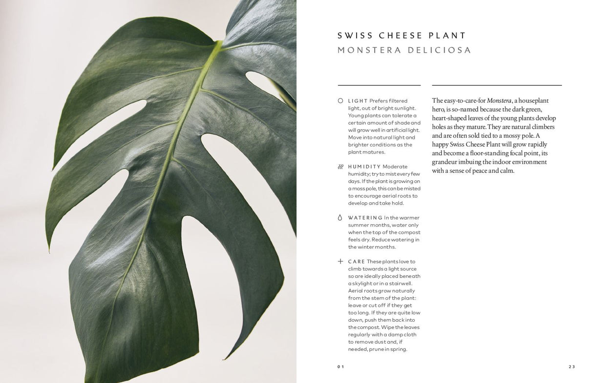 Book - The Healing Power of Plants