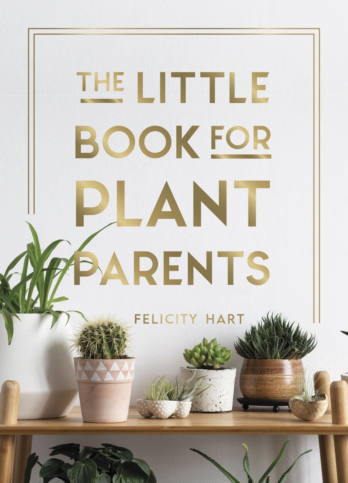 Book - Little Book for Plant Parents