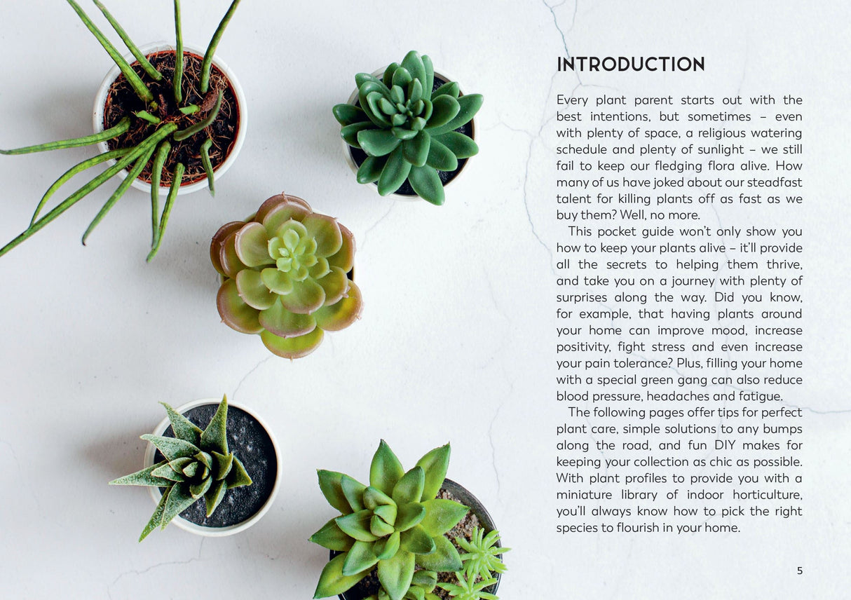 Book - Little Book for Plant Parents