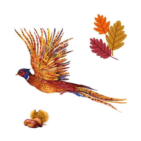 October Garden Notes from the Chilterns