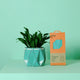 Plant Related Gifts