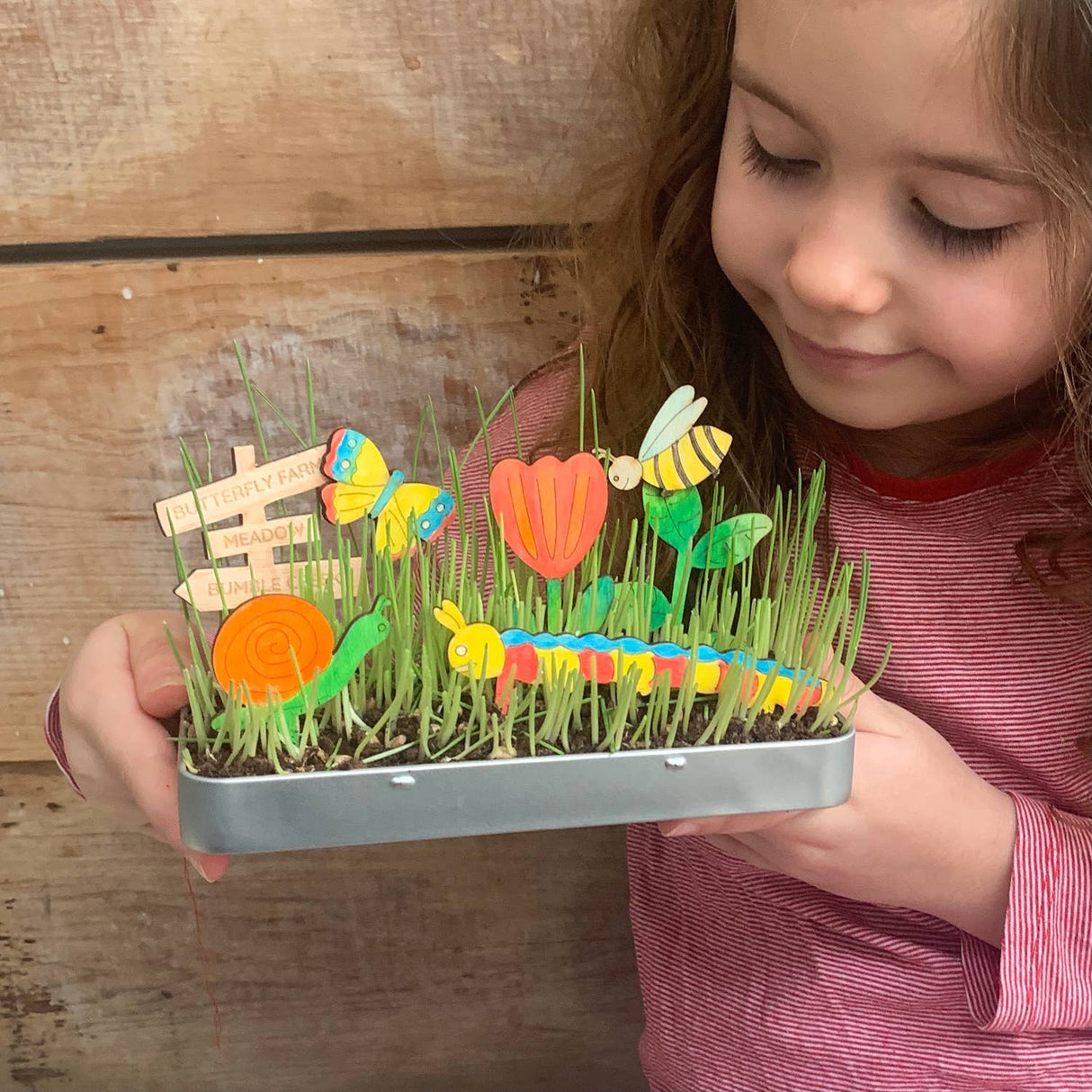 Make Your Own Mini Beasts Garden