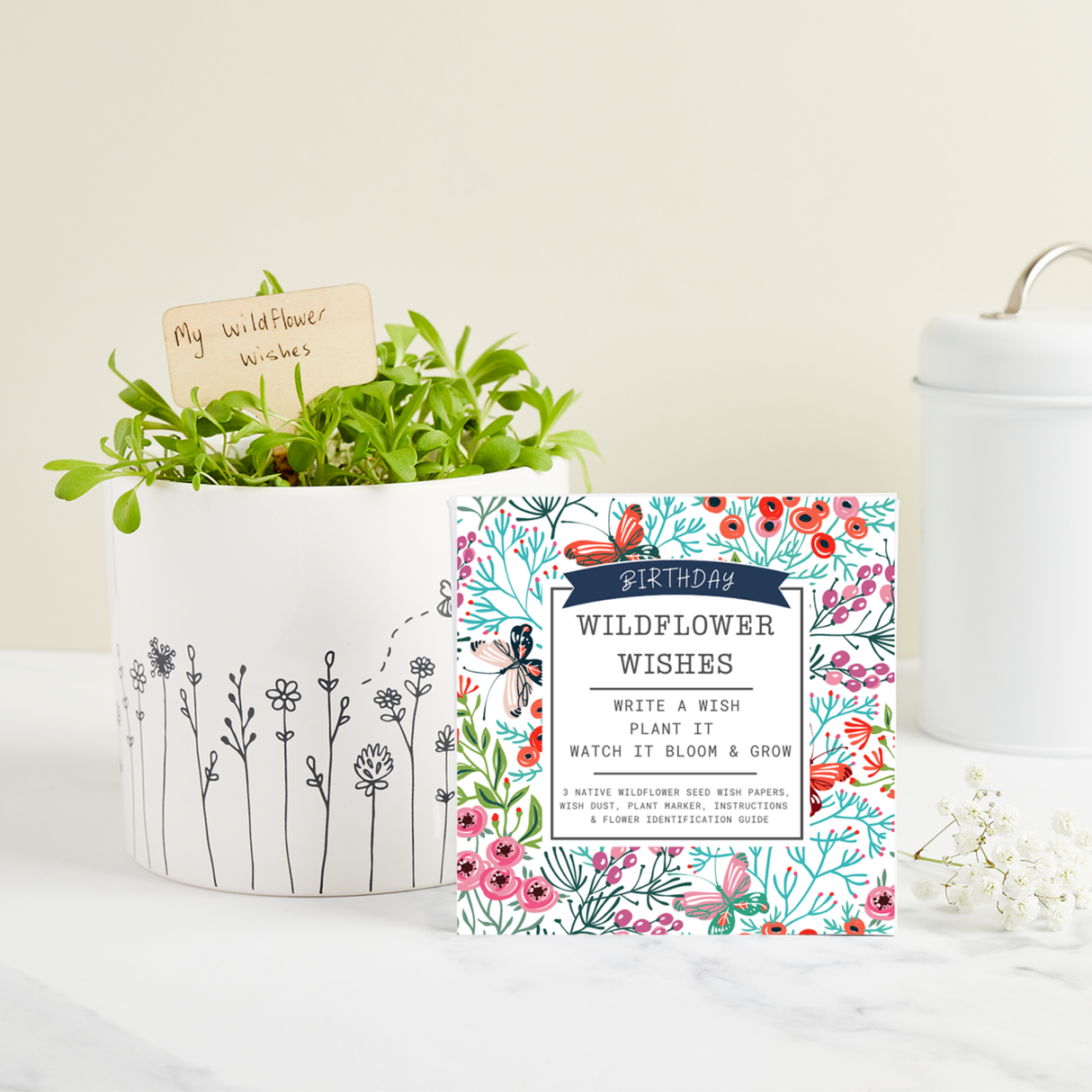 Birthday Wildflower Wishes Grow Kit