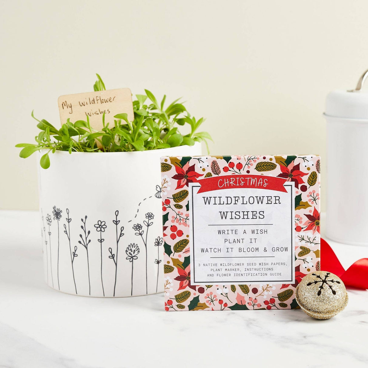 Christmas Wildflower Wishes Grow Kit