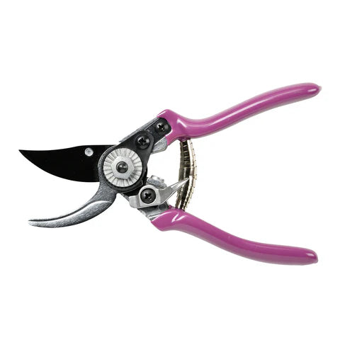 Pruner & Aster Case Set- RHS