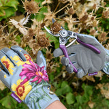 Pruner & Aster Case Set- RHS