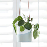 Hanging Plant Pot Dipped