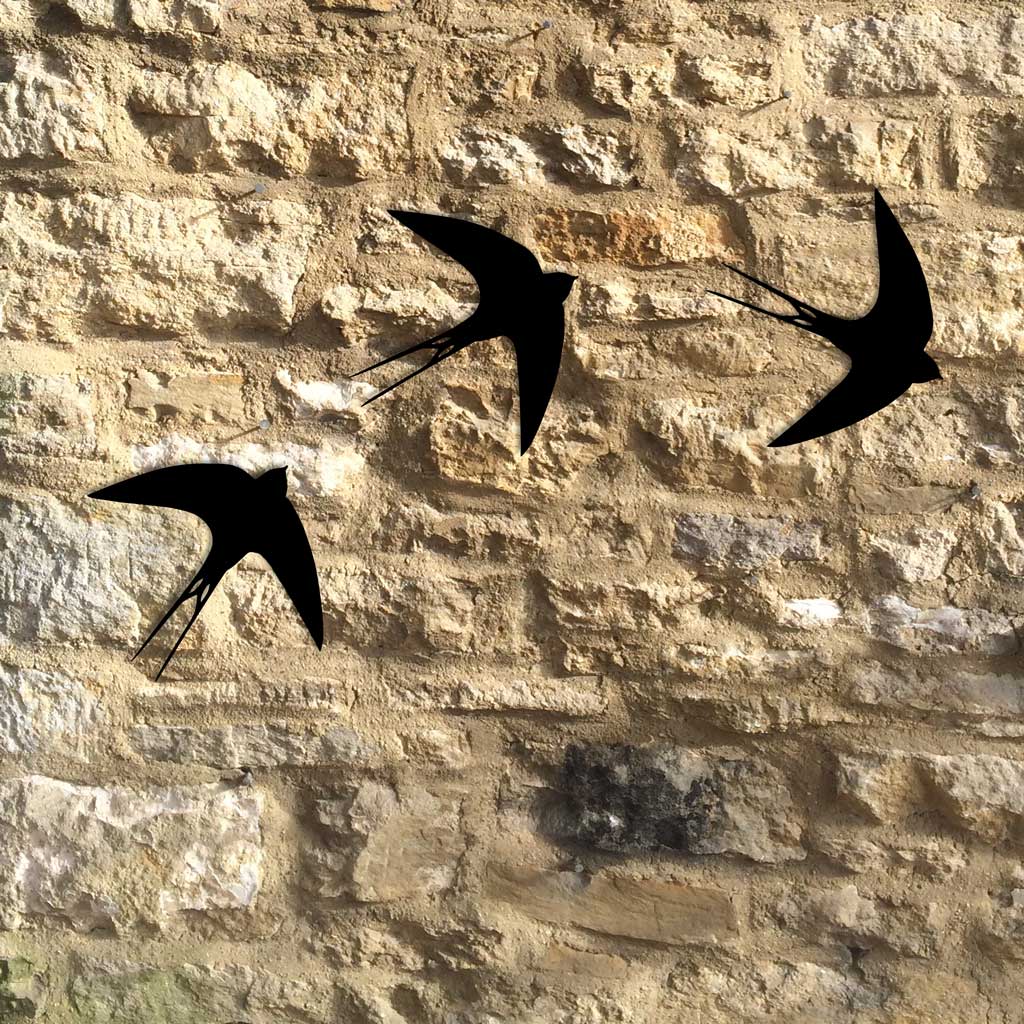 Swallow Silhouette