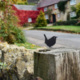 Bird Silhouette