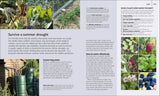 Book - Allotment Month by Month