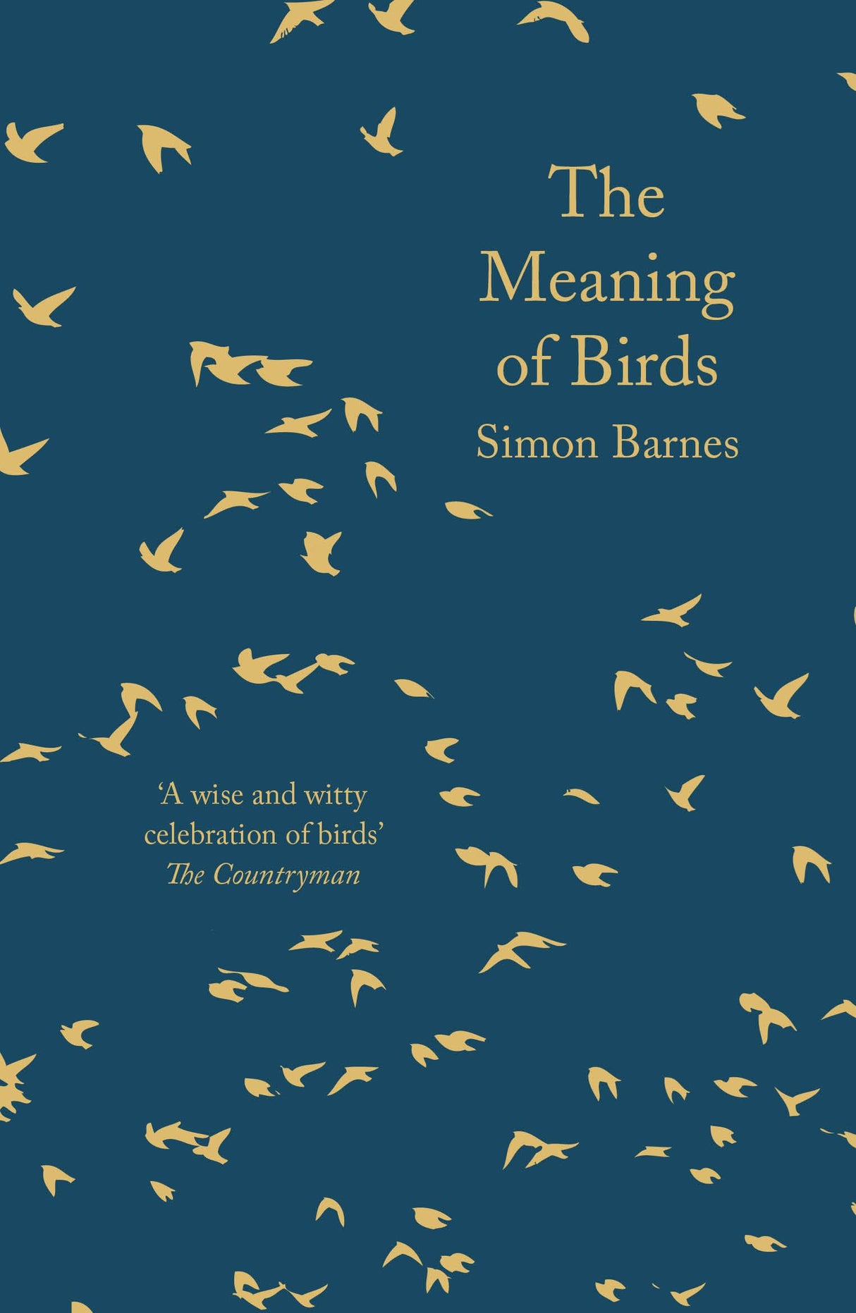 Book - Meaning of Birds