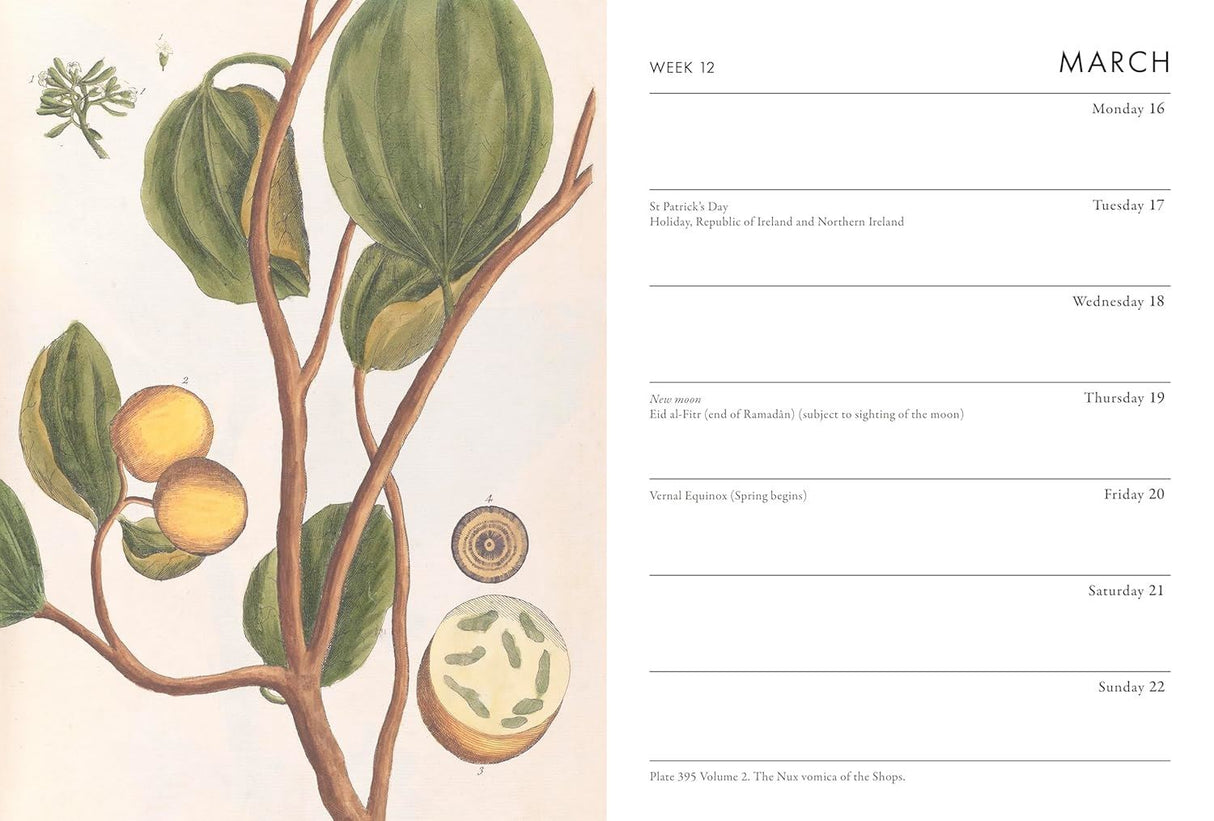 Book - RHS Desk Diary 2026