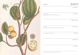 Book - RHS Desk Diary 2026
