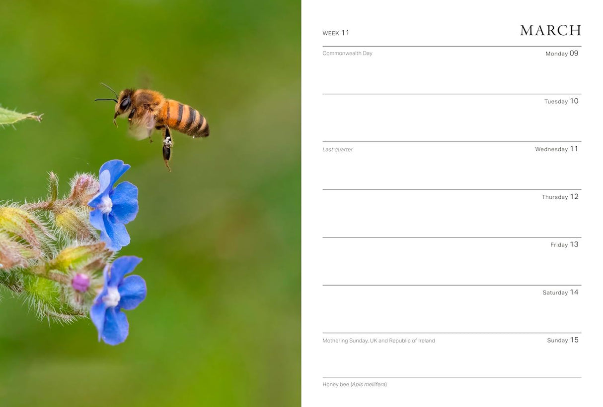 Book - RHS Wild in the Garden Diary 2026