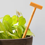 Houseplant Care Kit Hamper