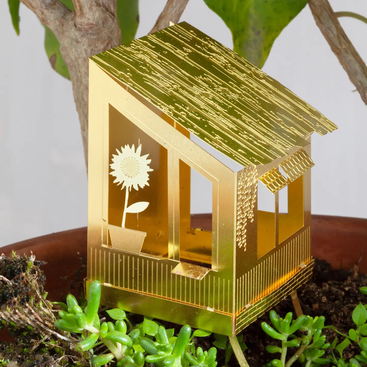 Tiny Treehouse for Plants